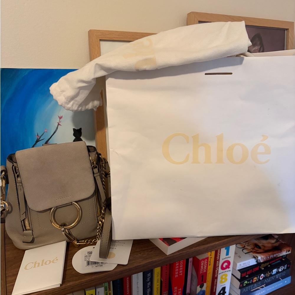 Chloe Mini Faye Backpack Motty Grey - Picture 13 of 15